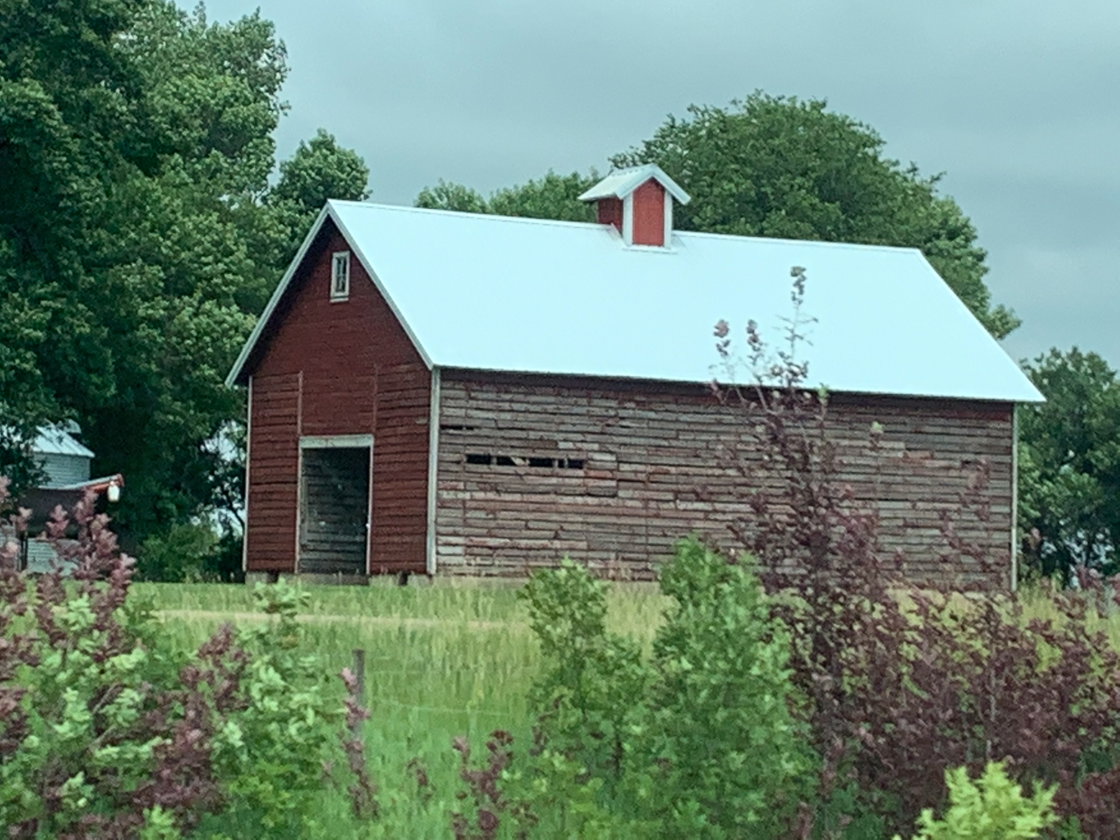 charming-red-barn-with-white-roof-surrounded-by-greenery-classic-farm-scene