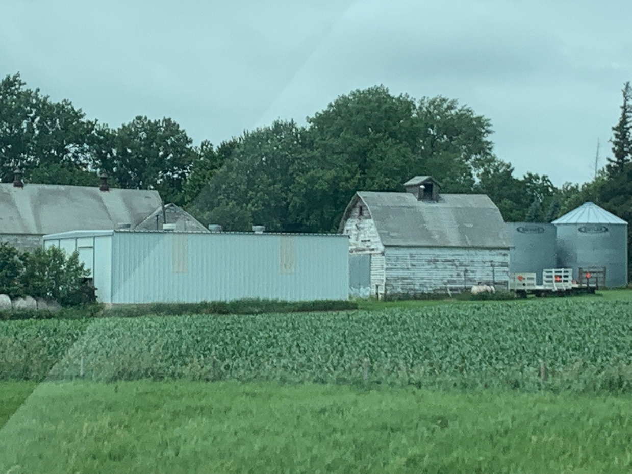 rustic-farm-buildings-with-silos-and-green-fields-traditional-countryside-setting