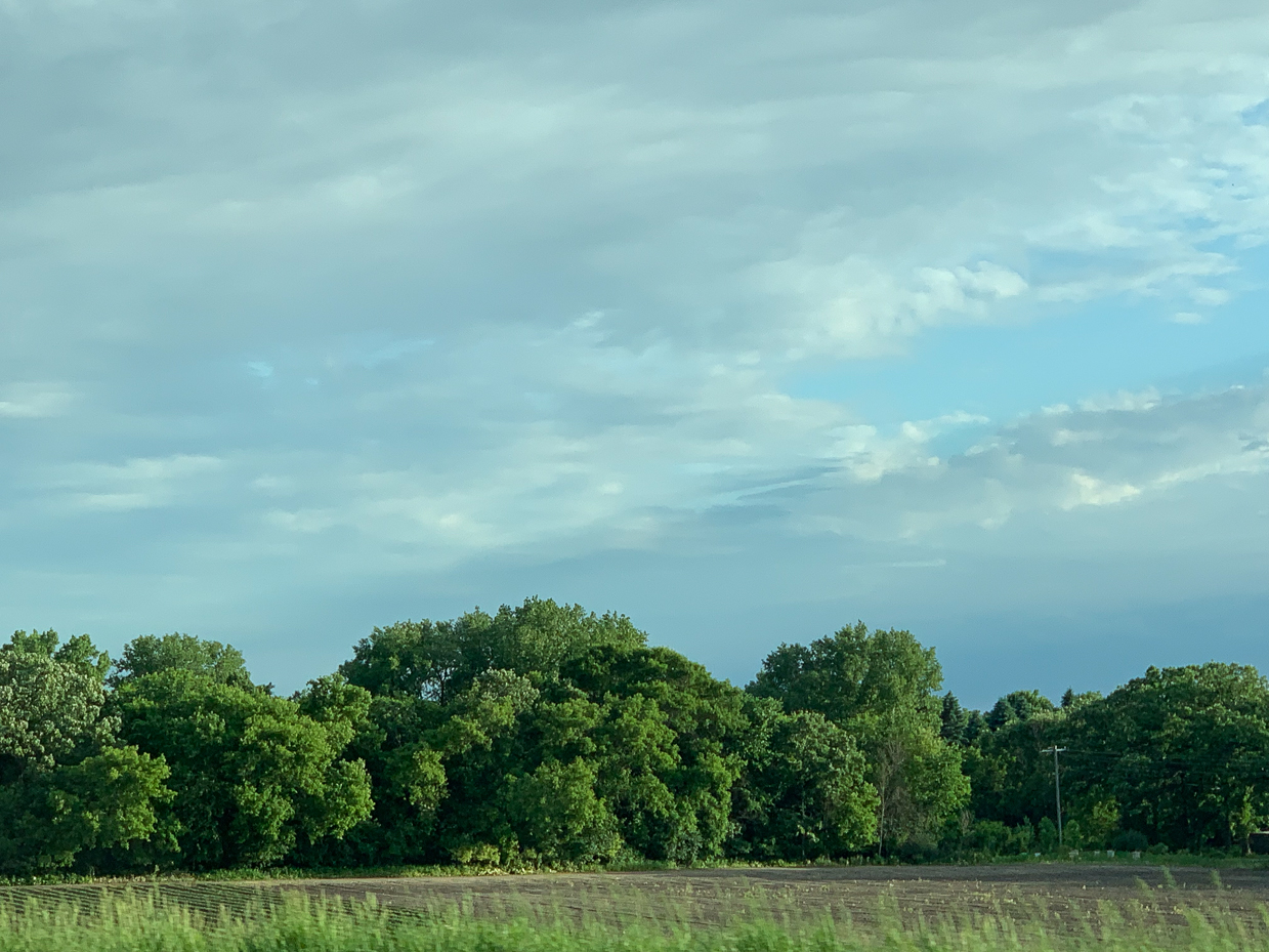 scenic-view-of-lush-green-trees-and-open-fields-under-a-cloudy-sky-serene-rural-landscape