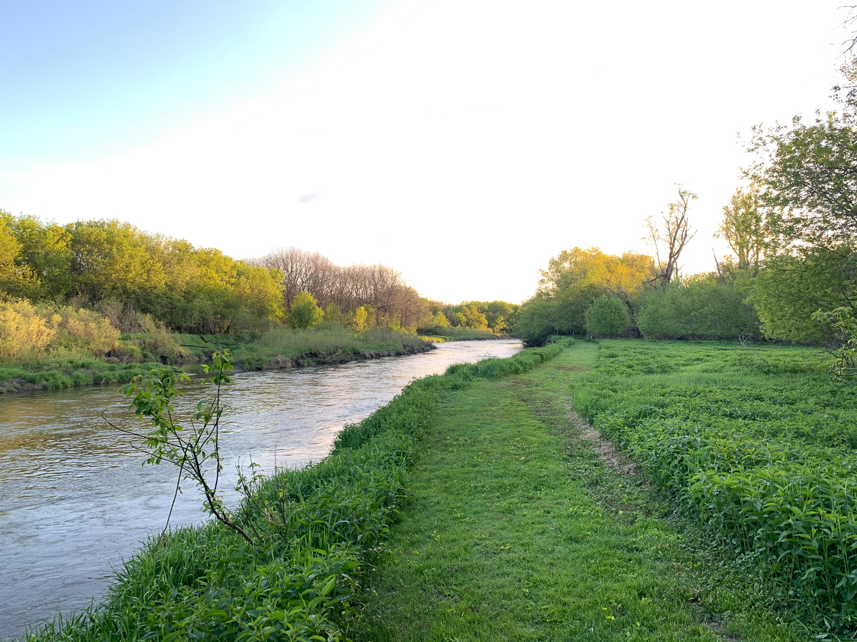 serene-riverbank-with-lush-greenery-and-golden-sunset-light-peaceful-nature-scene