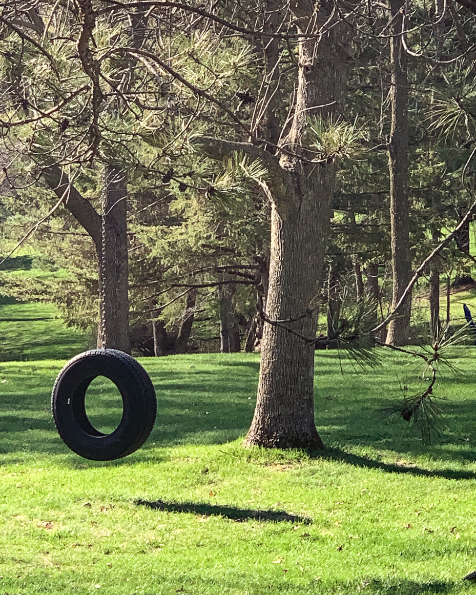 tree-swing-on-a-sunny-day-in-a-lush-green-forest-peaceful-outdoor-play-scene