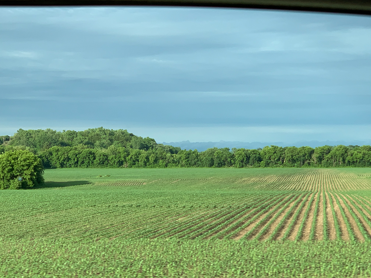 vast-green-farmlands-with-neatly-plowed-rows-and-tree-lined-horizon-tranquil-agricultural-scene