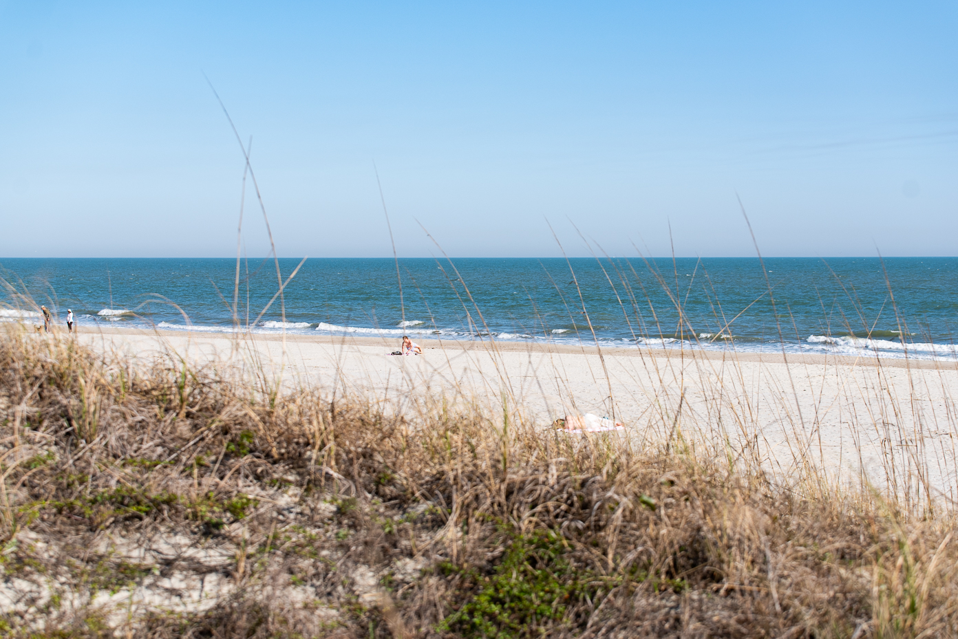 coastal-sand-dunes-and-beachgoers-by-the-ocean-on-a-bright-spring-day