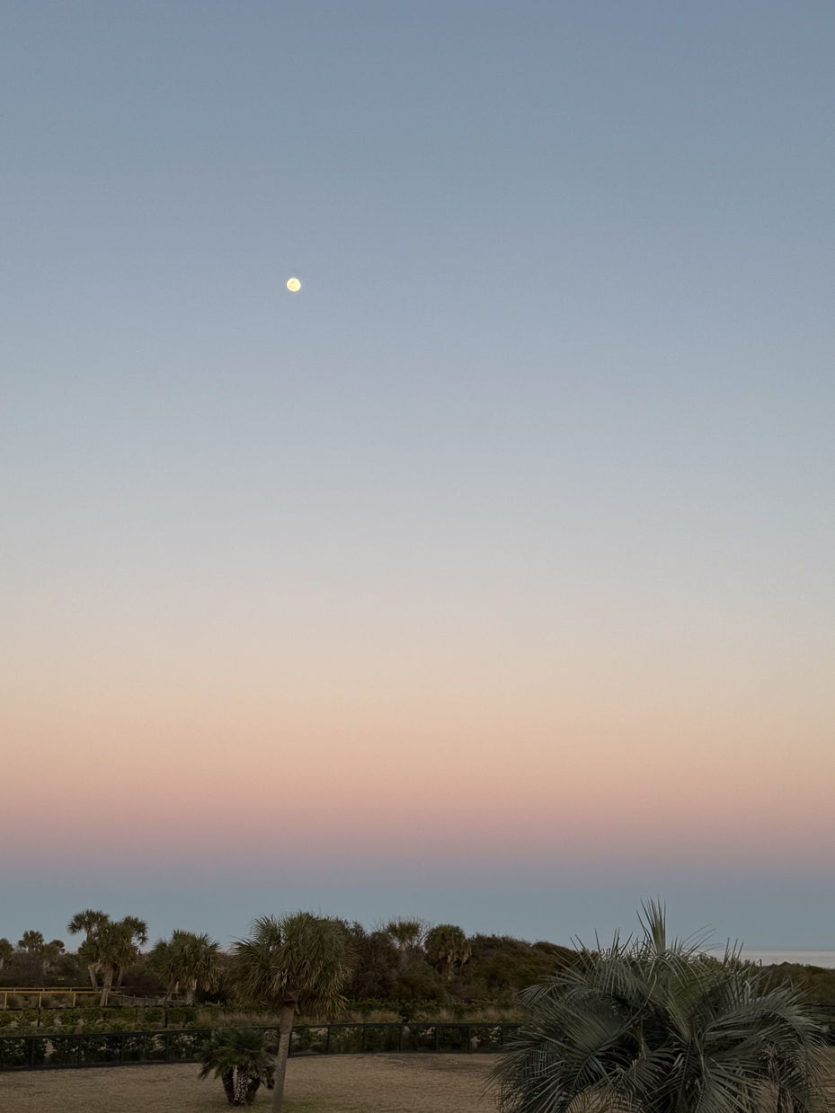 full-moon-rising-above-coastal-palm-trees-at-twilight-with-pink-and-blue-sky