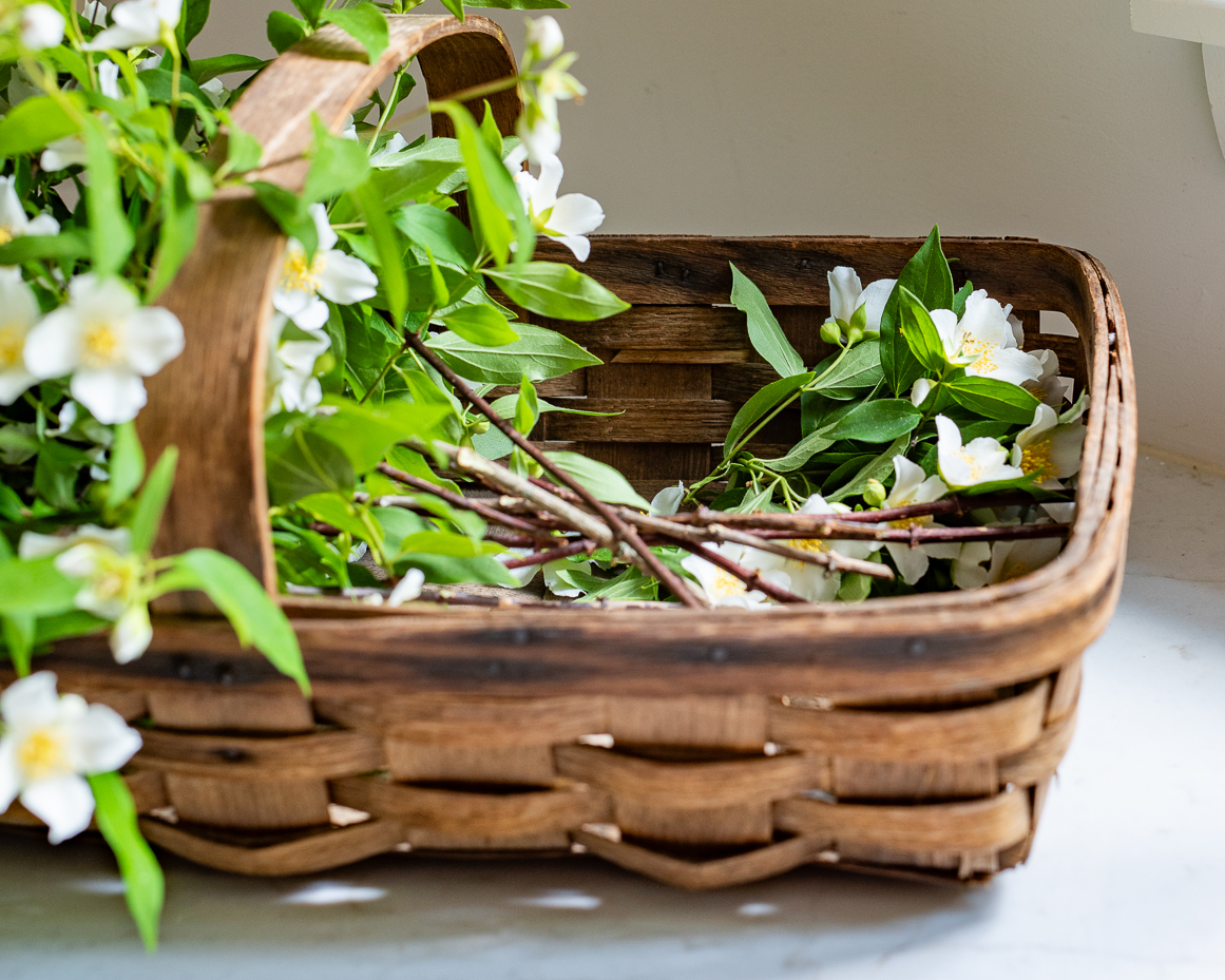 closeup-of-white-blossoms-and-green-stems-in-rustic-wooden-basket-artist-reference-photo