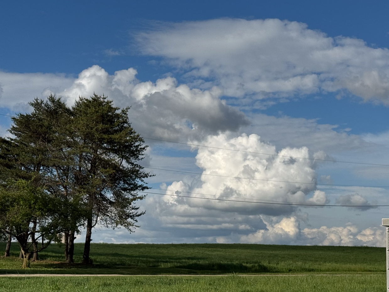 cloud-filled-sky-over-green-hillside-and-pines-artist-reference-photo
