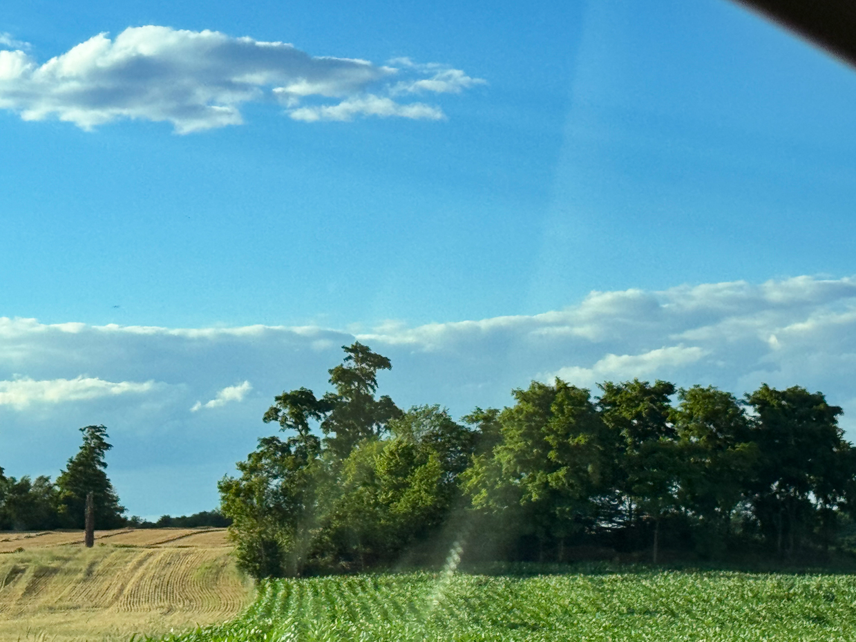 cornfield-and-tree-line-under-a-scenic-cloudy-sky-peaceful-rural-landscape-photography