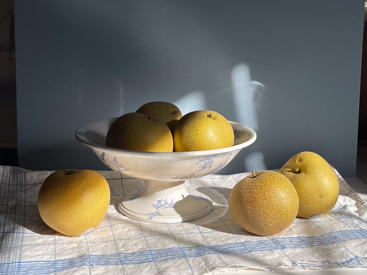 golden-asian-pears-in-antique-blue-and-white-pedestal-bowl-with-sunlit-shadows