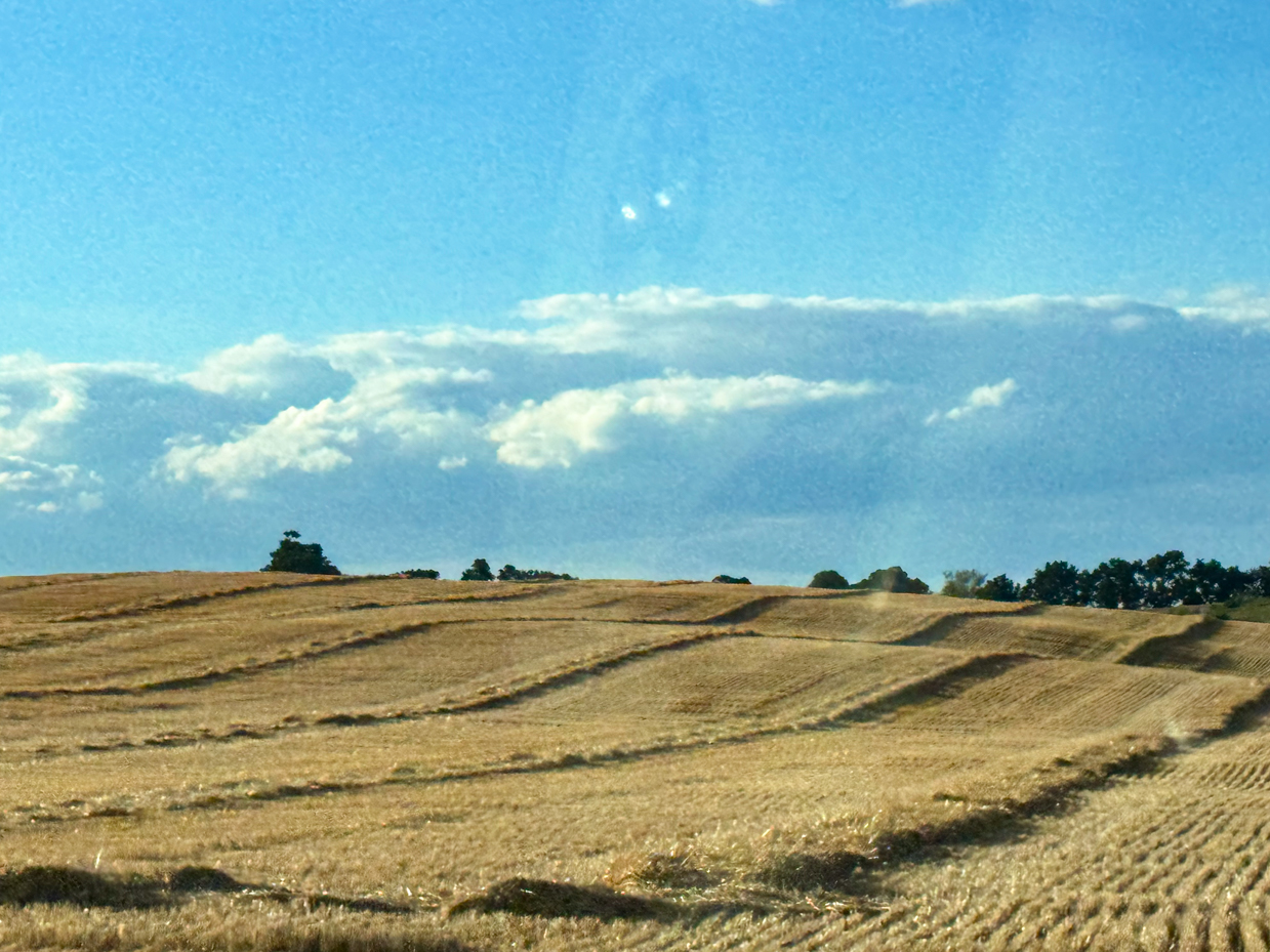 golden-harvested-field-with-rolling-hills-under-a-blue-sky-tranquil-rural-landscape-photography