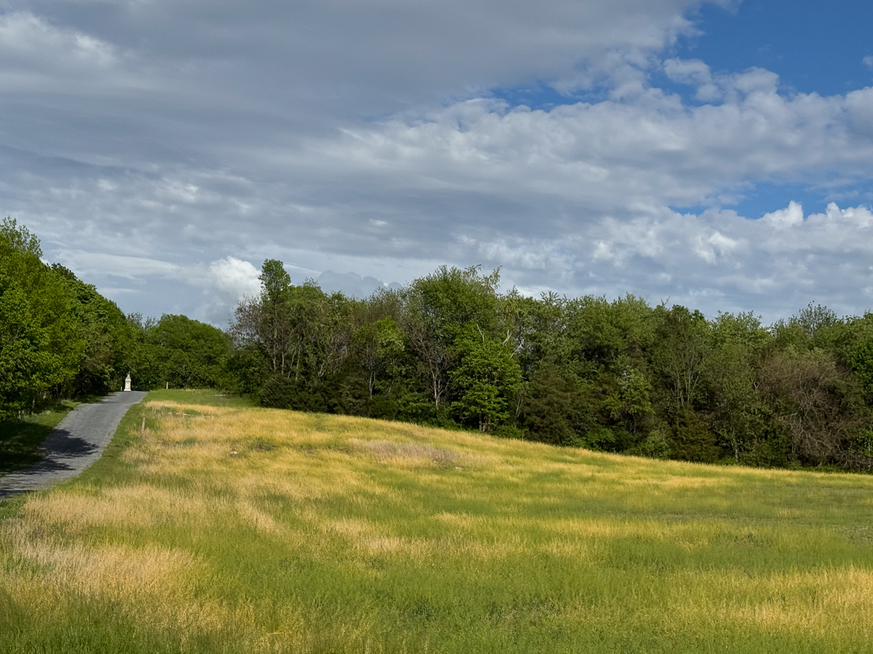 gravel-path-beside-golden-meadow-and-tree-line-under-partly-cloudy-sky-artist-reference-photo