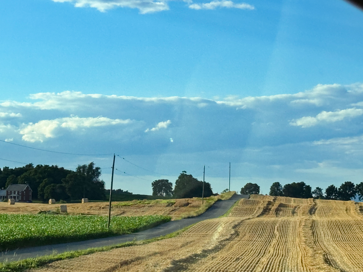harvested-field-with-rolling-hills-rural-road-and-scenic-cloudy-sky-countryside-landscape-photography
