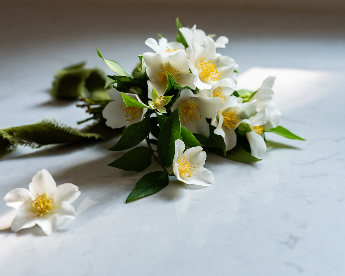 mock-orange-floral-bundle-with-velvet-ribbon-on-marble-surface-artist-reference-photo