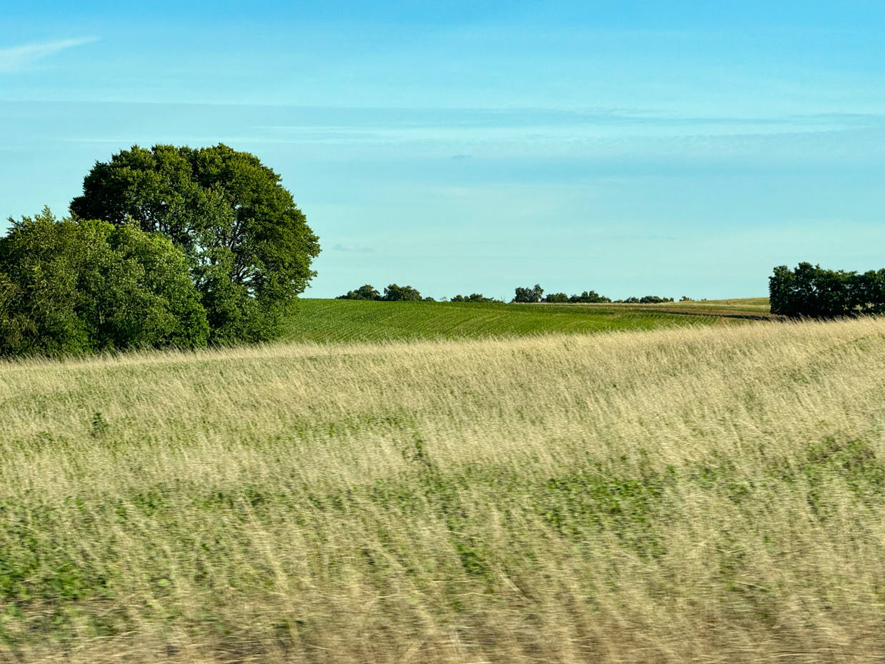 rolling-fields-with-green-trees-under-a-clear-blue-sky-idyllic-rural-landscape-photography