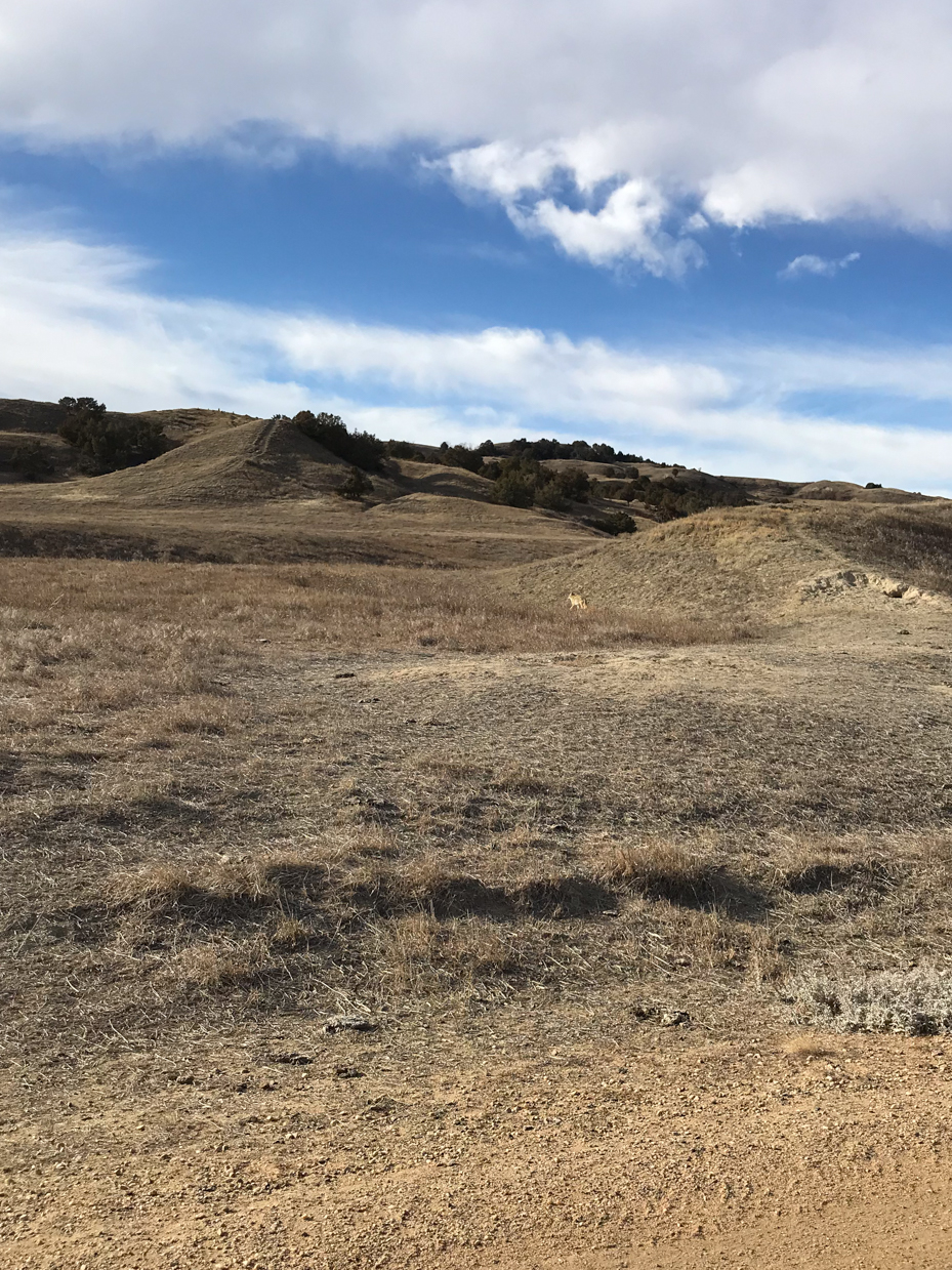rolling-hills-and-open-prairie-under-a-blue-sky