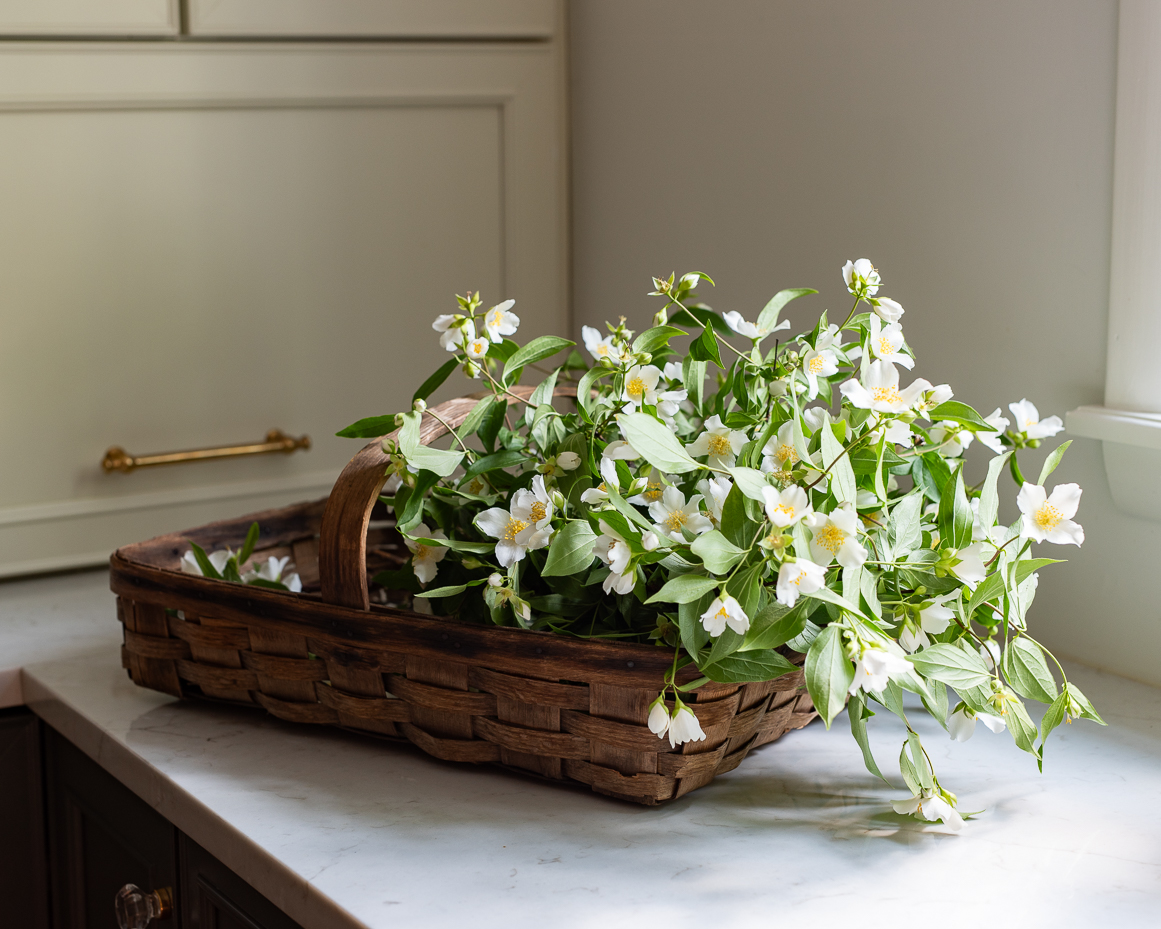 rustic-wood-basket-with-blooming-jasmine-stems-on-marble-countertop-artist-reference-photo