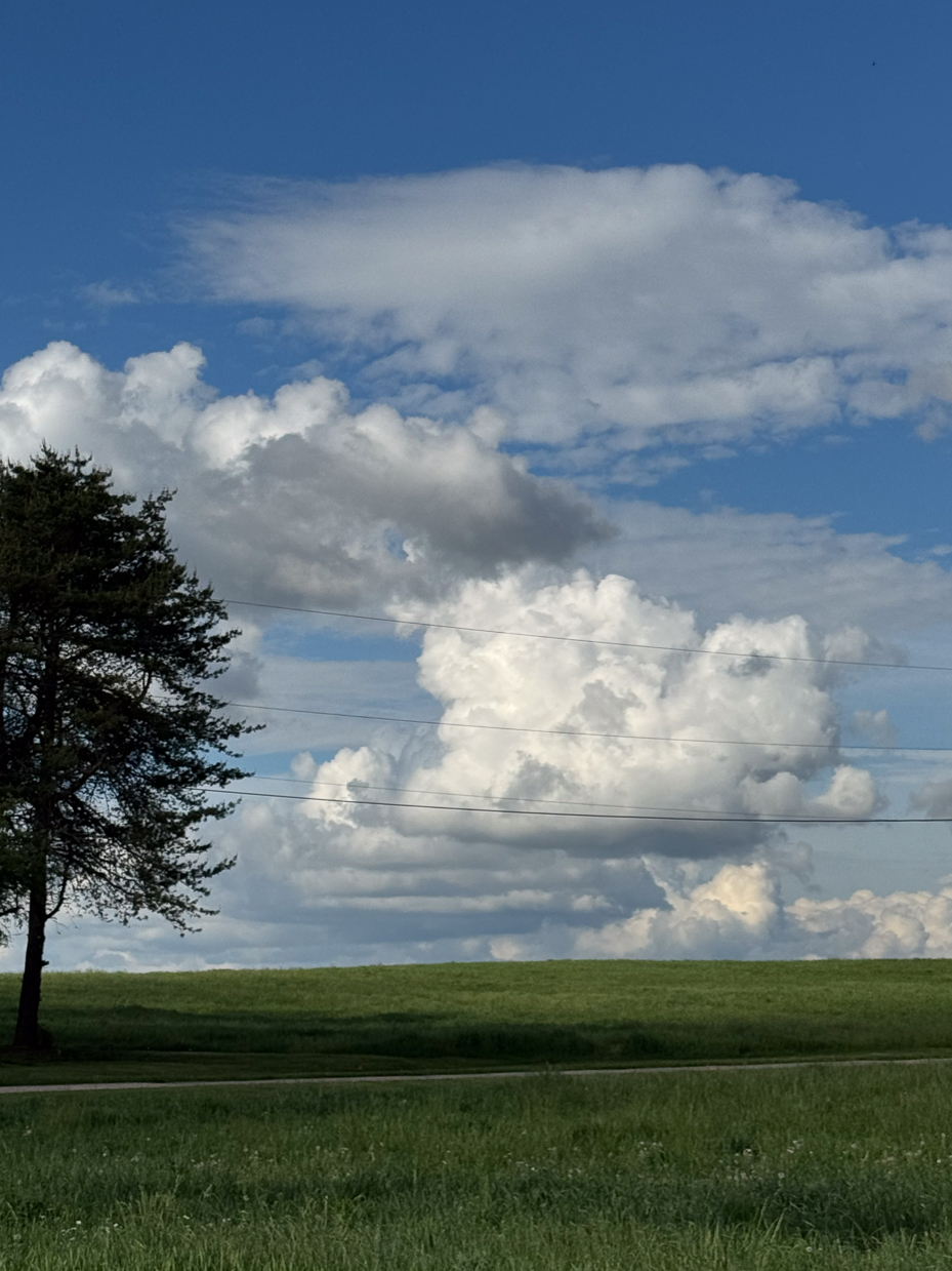 towering-clouds-over-rolling-green-field-artist-reference-photo