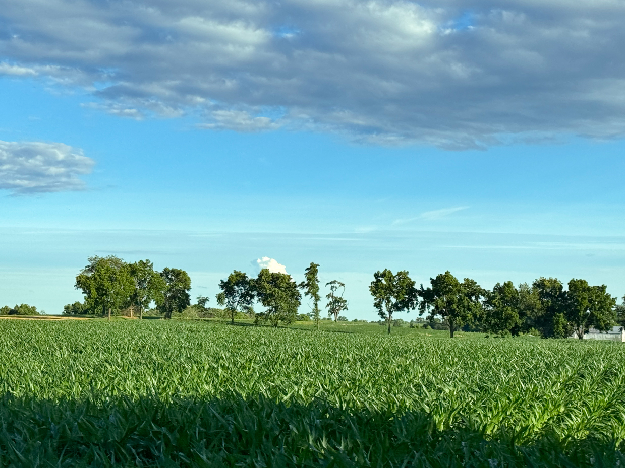 vibrant-green-field-with-trees-under-a-beautiful-cloudy-sky-serene-rural-landscape-photography