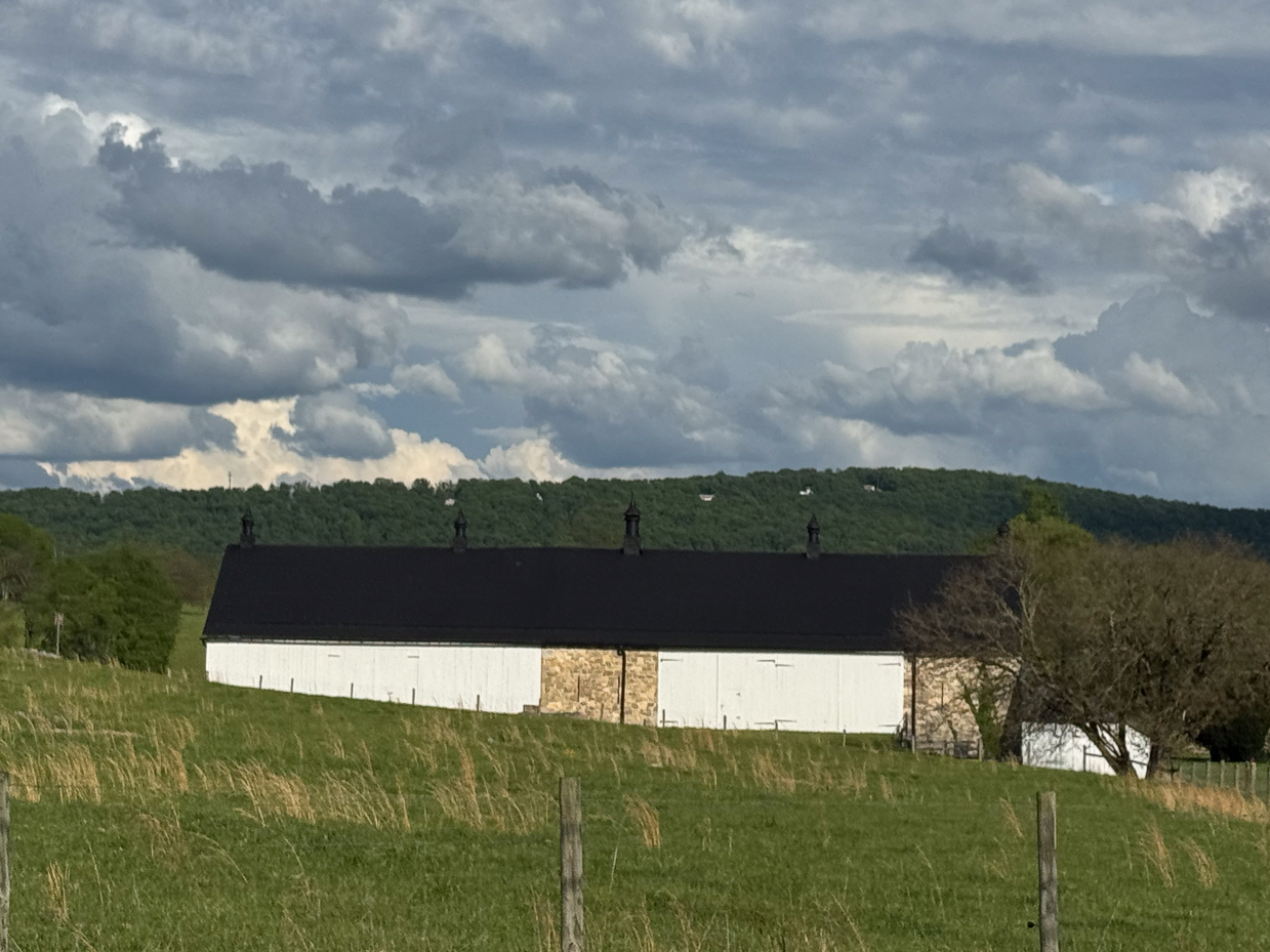 white-barn-with-black-roof-and-cupolas-at-piper-farm-against-rolling-hills-and-dramatic-sky-artist-reference-photo