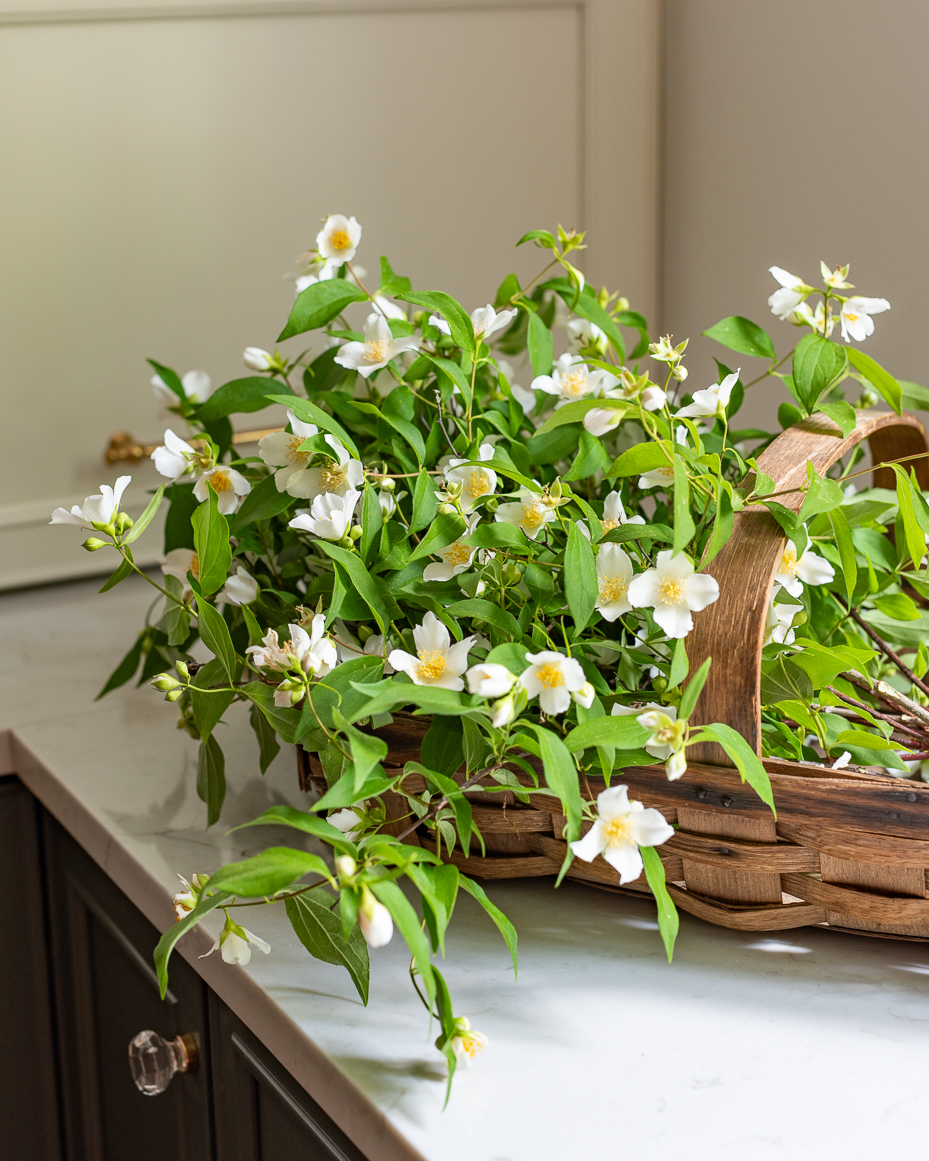 white-wildflowers-in-harvest-basket-on-marble-counter-artist-reference-photo