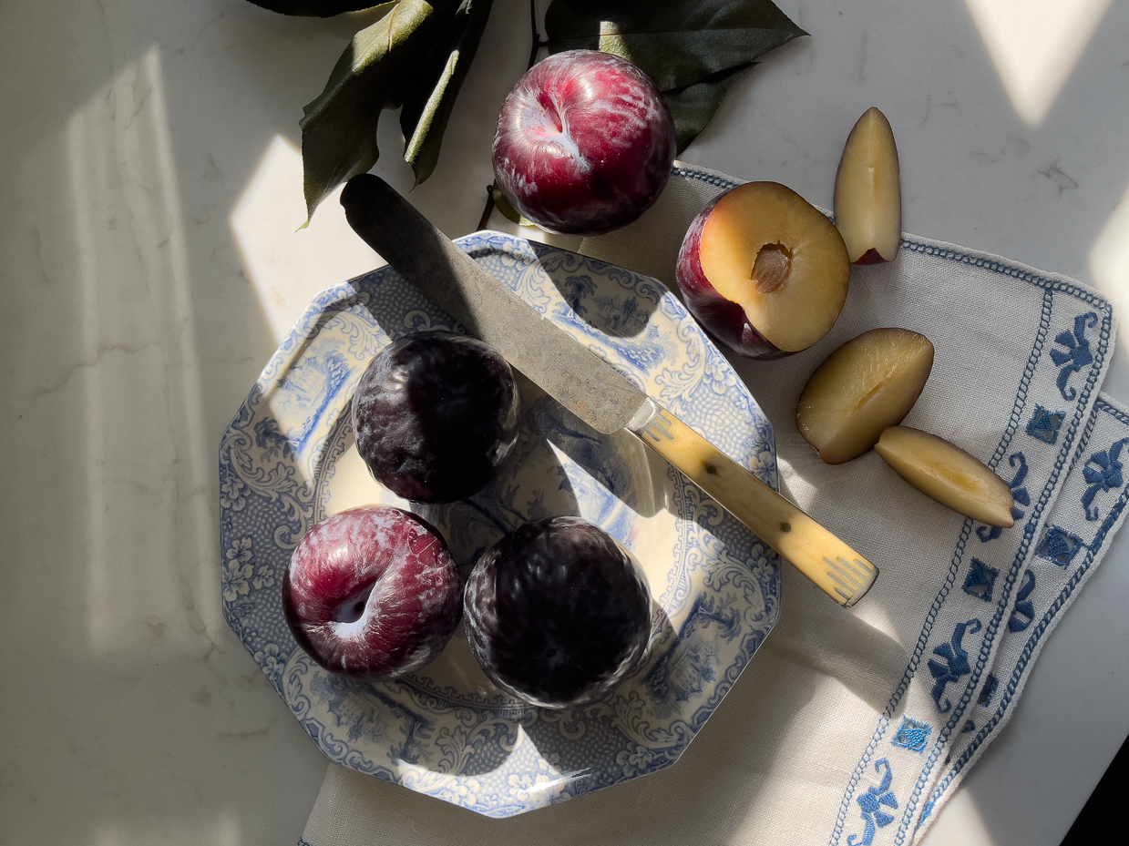 heirloom-plums-antique-plate-rustic-kitchen-moody-light-farmhouse-elegance-vintage-still-life