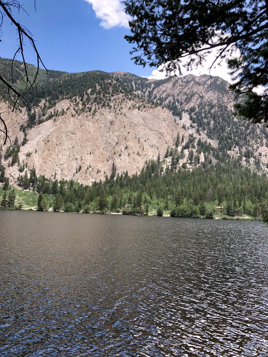 lake-with-pine-forest-and-rocky-mountain-backdrop-under-blue-sky-artist-reference-photo