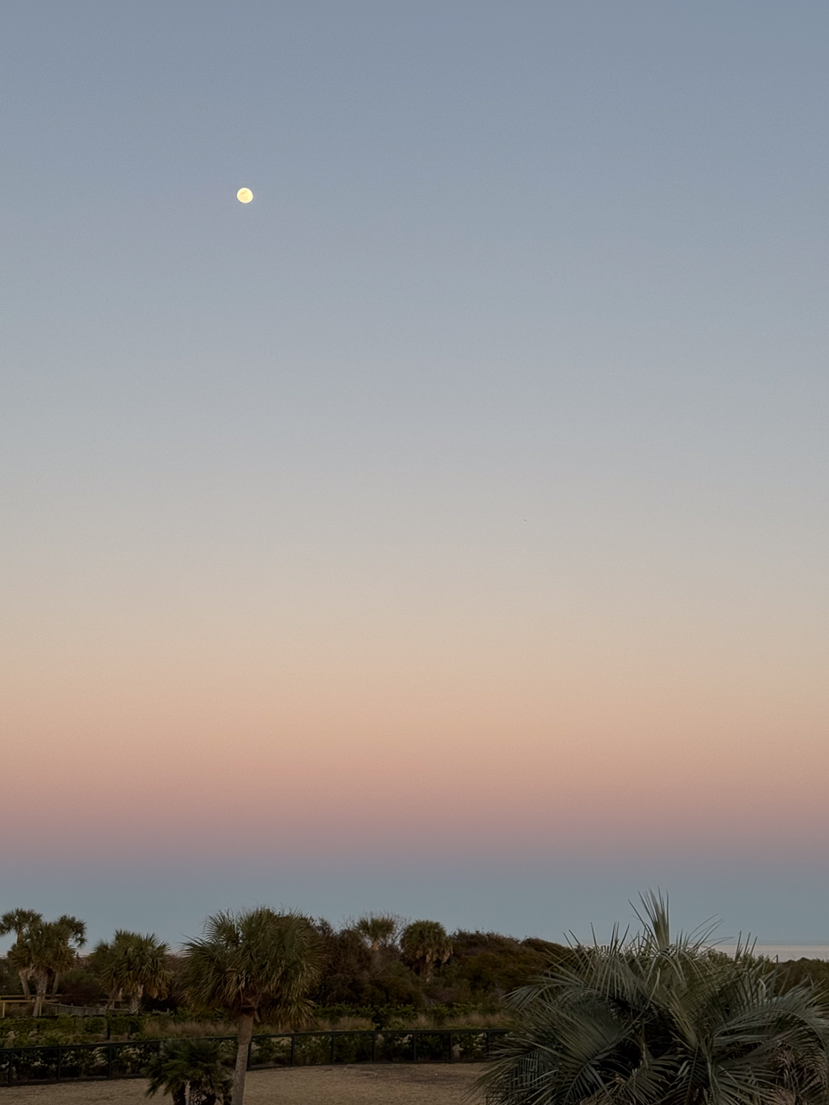 moonrise-over-palm-trees-at-dusk-with-pastel-sky-gradient