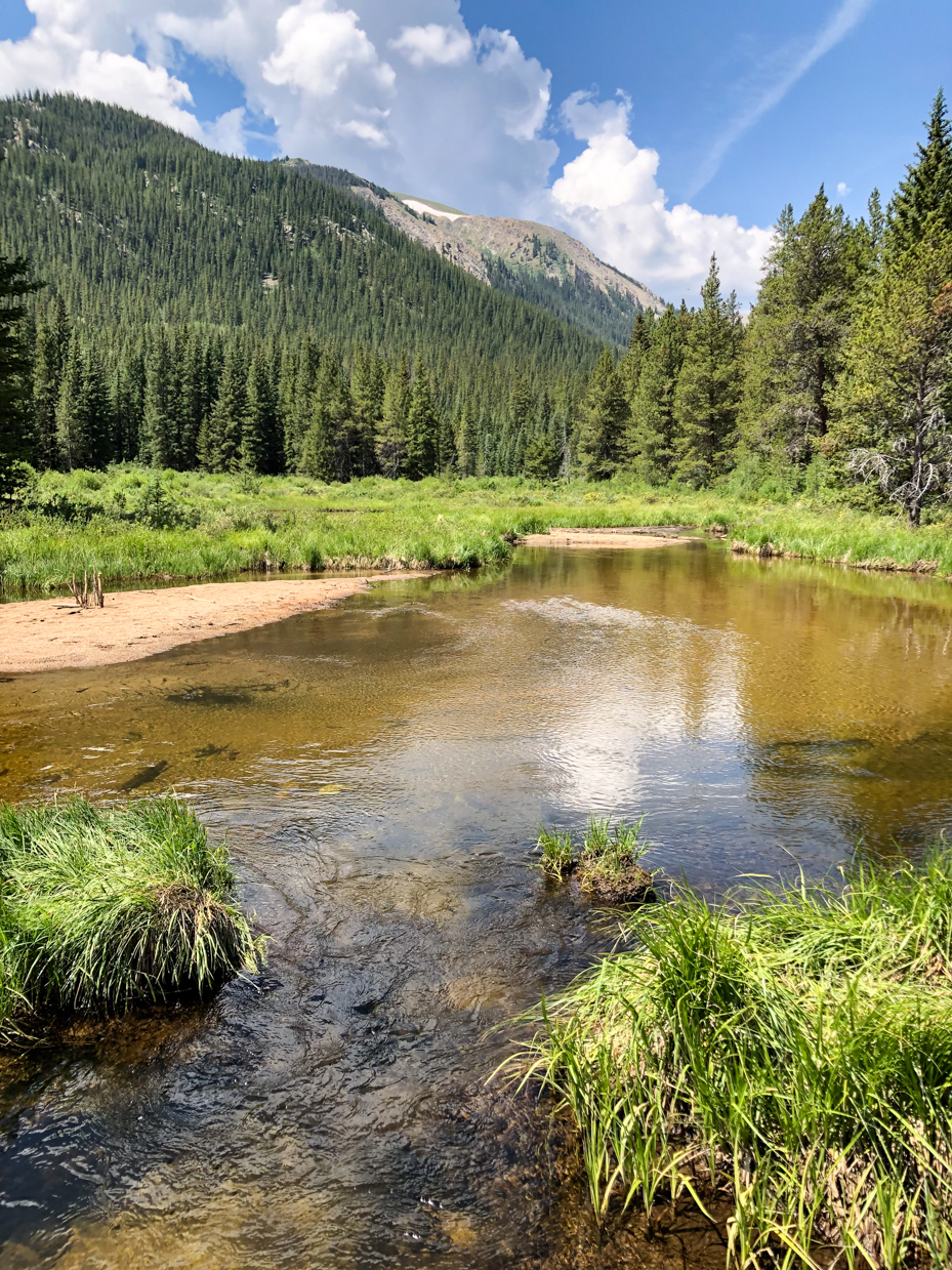 mountain-stream-with-pine-forest-and-cloudy-sky-artist-reference-photo