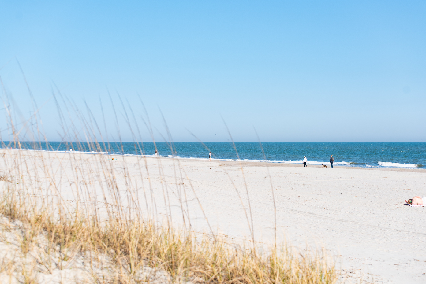 people-walking-dogs-on-a-sunny-coastal-beach-with-blue-sky-and-ocean-waves