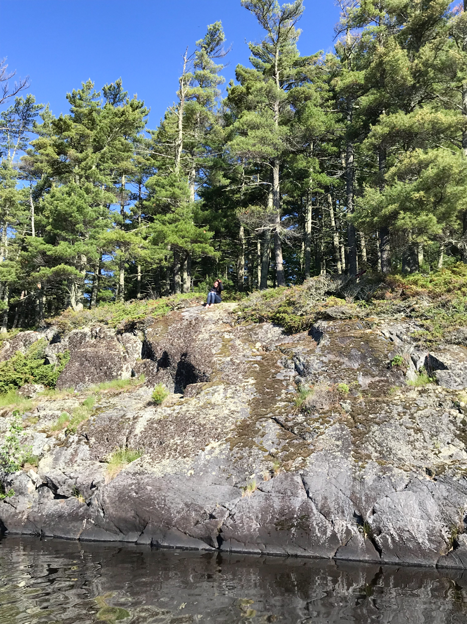 pine-forest-shoreline-with-rocky-cliff-and-person-sitting-artist-reference-photo