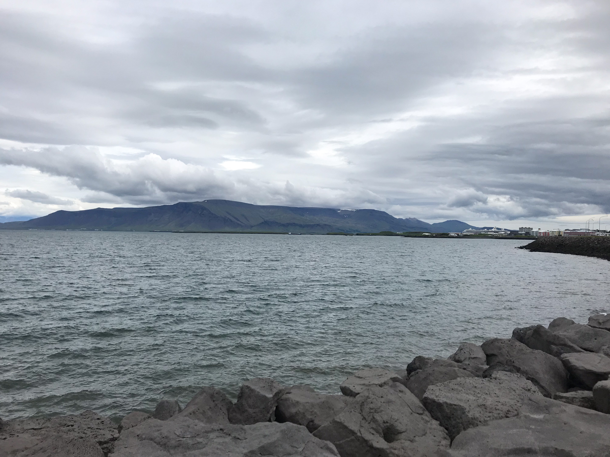 rocky-shoreline-with-ocean-and-distant-mountains-under-cloudy-sky-artist-reference-photo