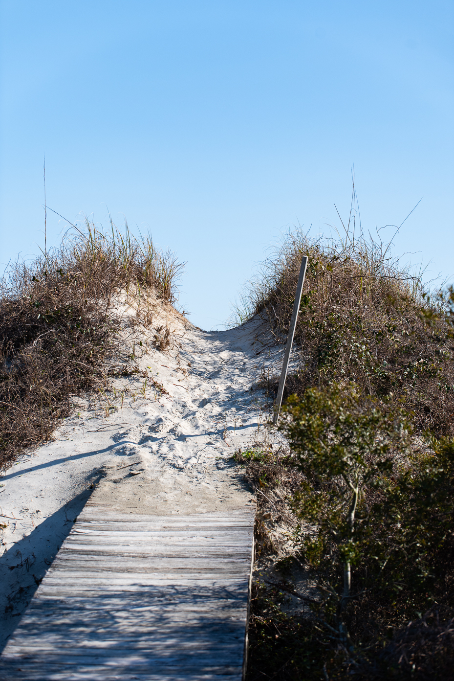 sandy-dune-path-to-beach-coastal-boardwalk-nature-trail-blue-sky