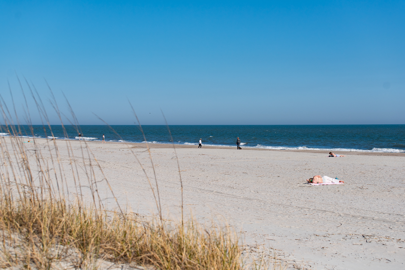 sunbathers-and-dog-walkers-on-a-quiet-sandy-beach-with-ocean-waves-and-blue-sky