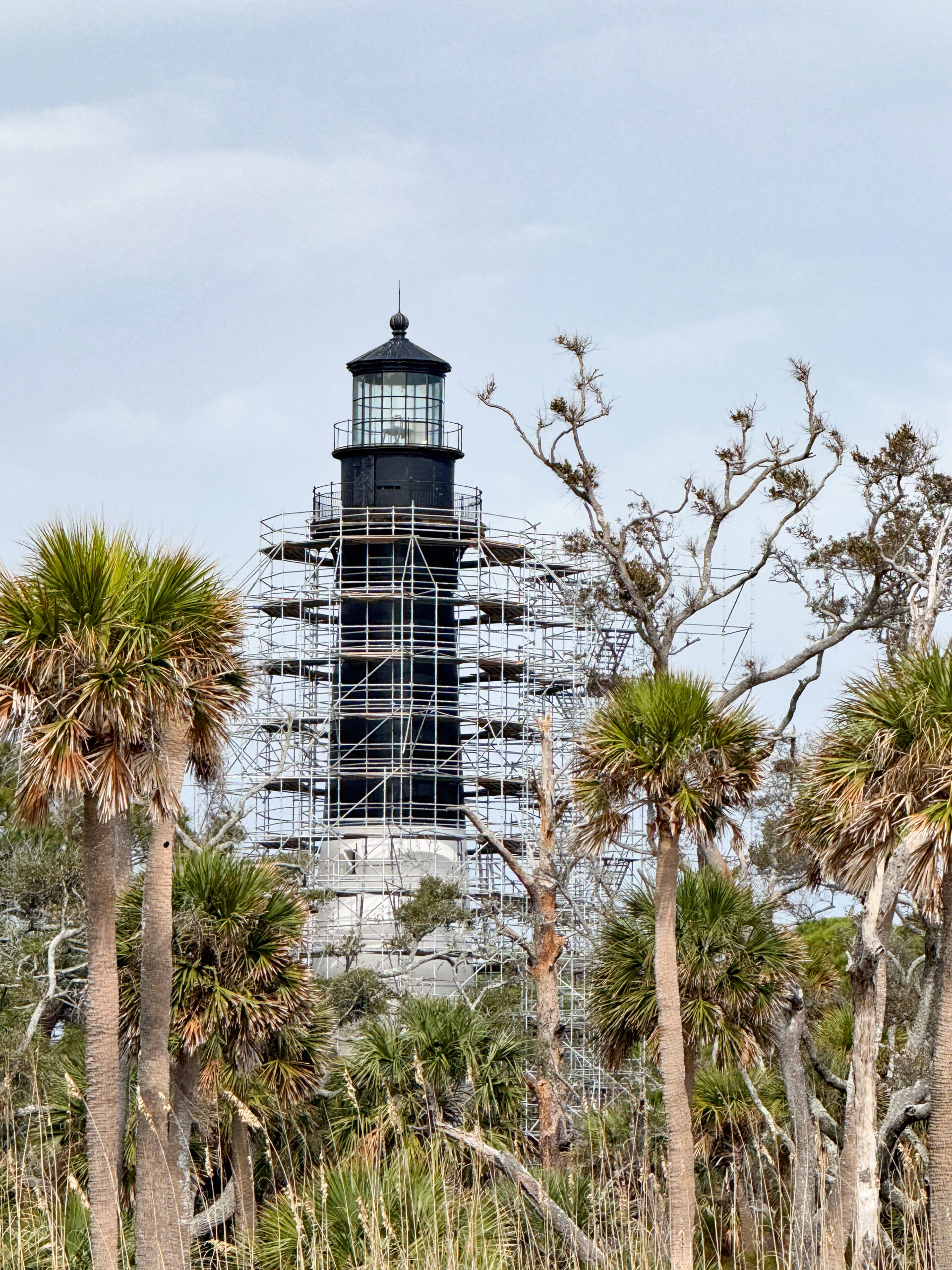 black-lighthouse-surrounded-by-palmettos-and-scaffolding-artist-reference-photo