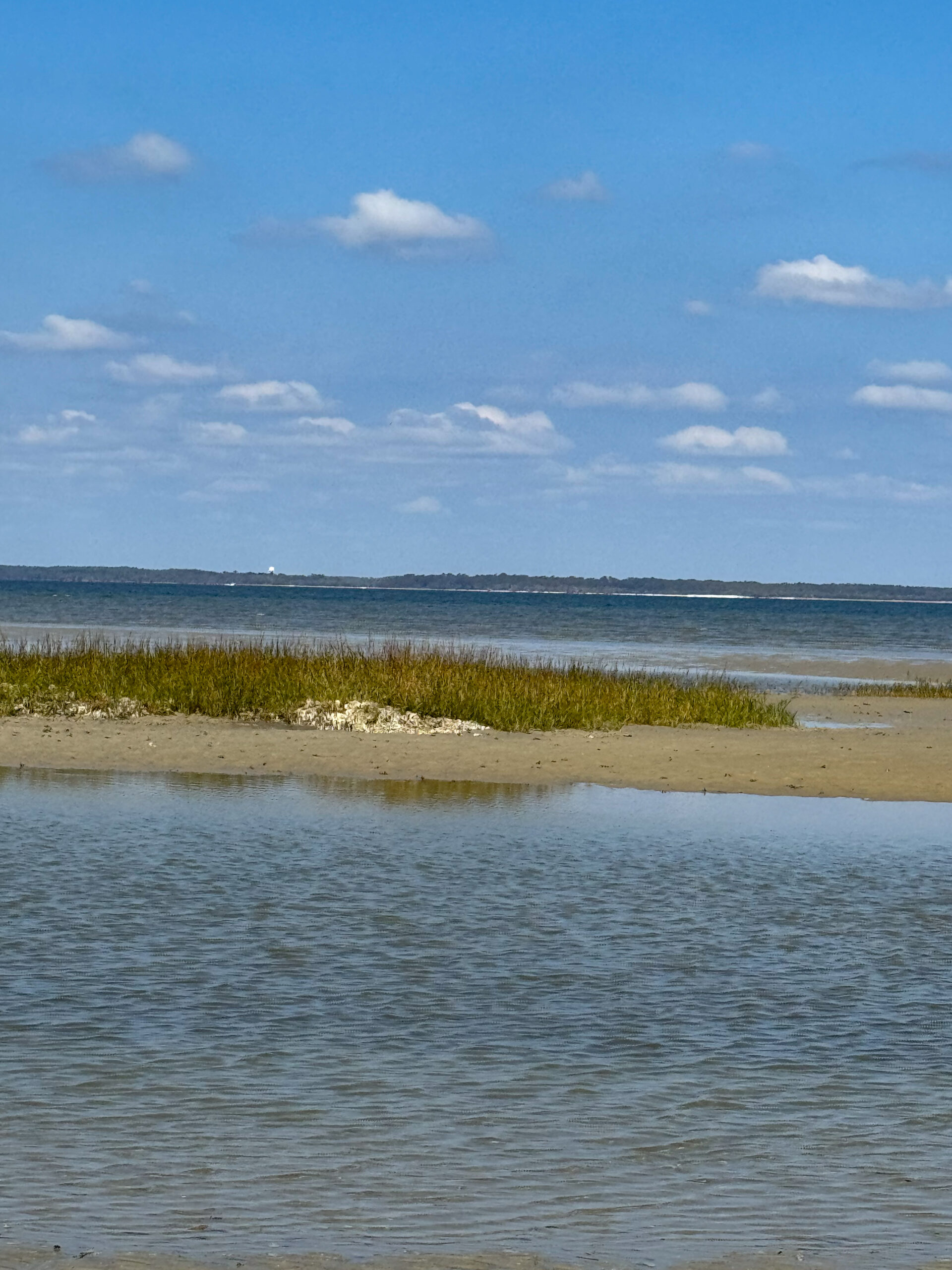 coastal-marsh-and-blue-sky-landscape-artist-reference-photo