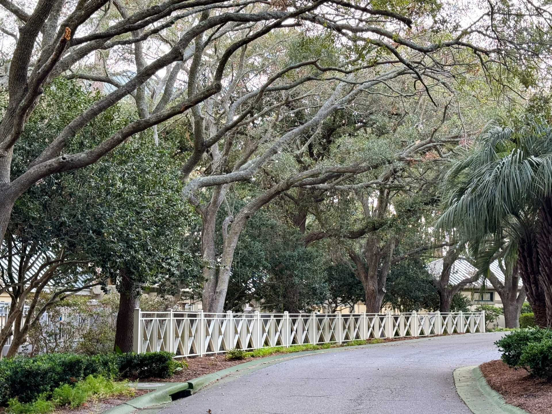 curved-residential-path-with-oak-canopy-and-decorative-white-fence-artist-reference-photo