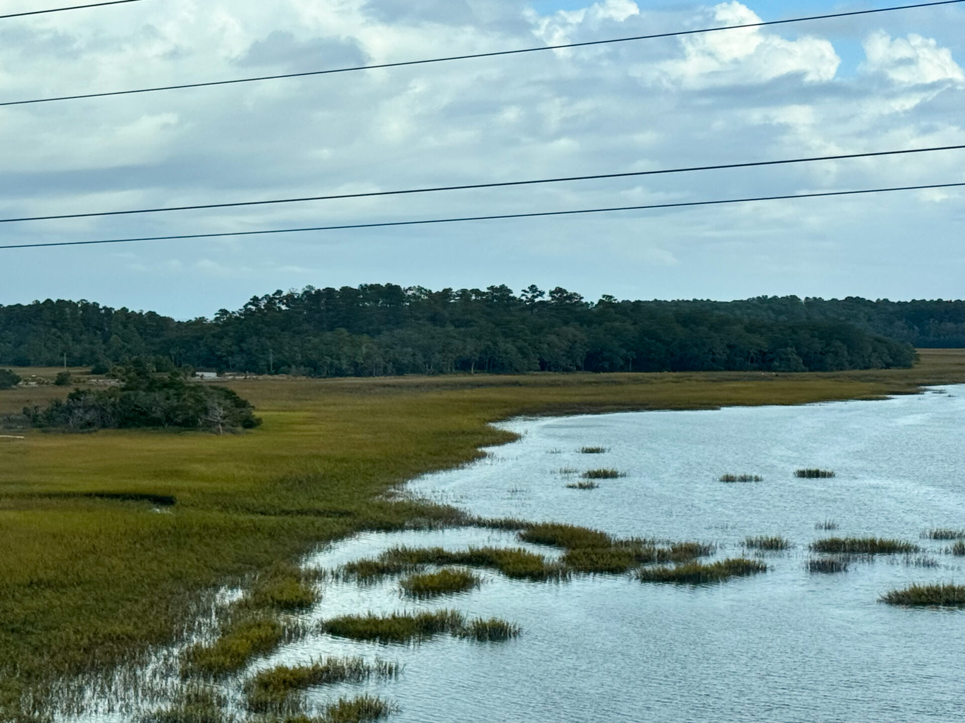curving-marsh-edge-with-tree-line-and-rippling-water-under-partly-cloudy-sky-artist-reference-photo