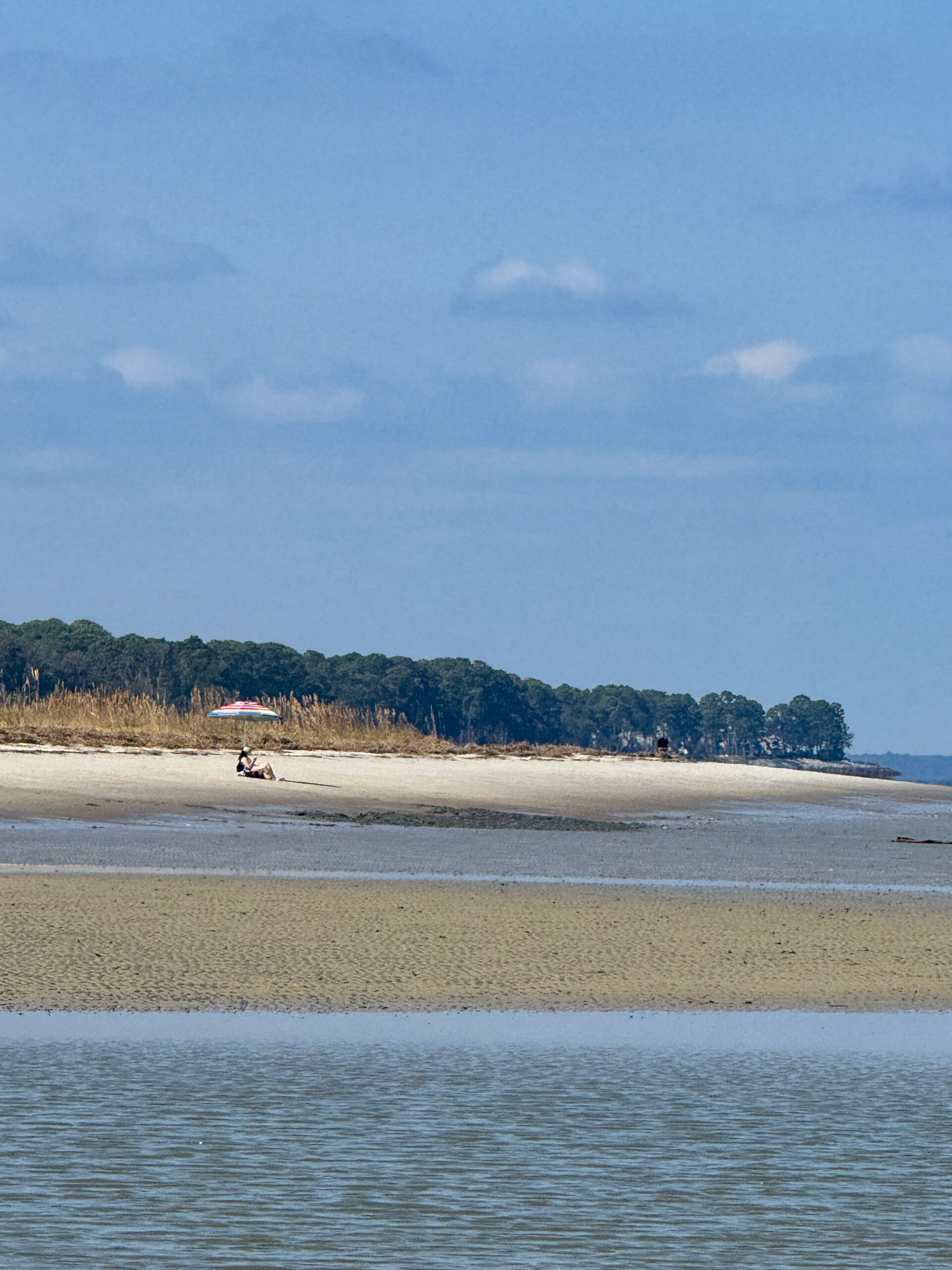 distant-beachgoer-under-umbrella-on-wide-sandy-shoreline-artist-reference-photo