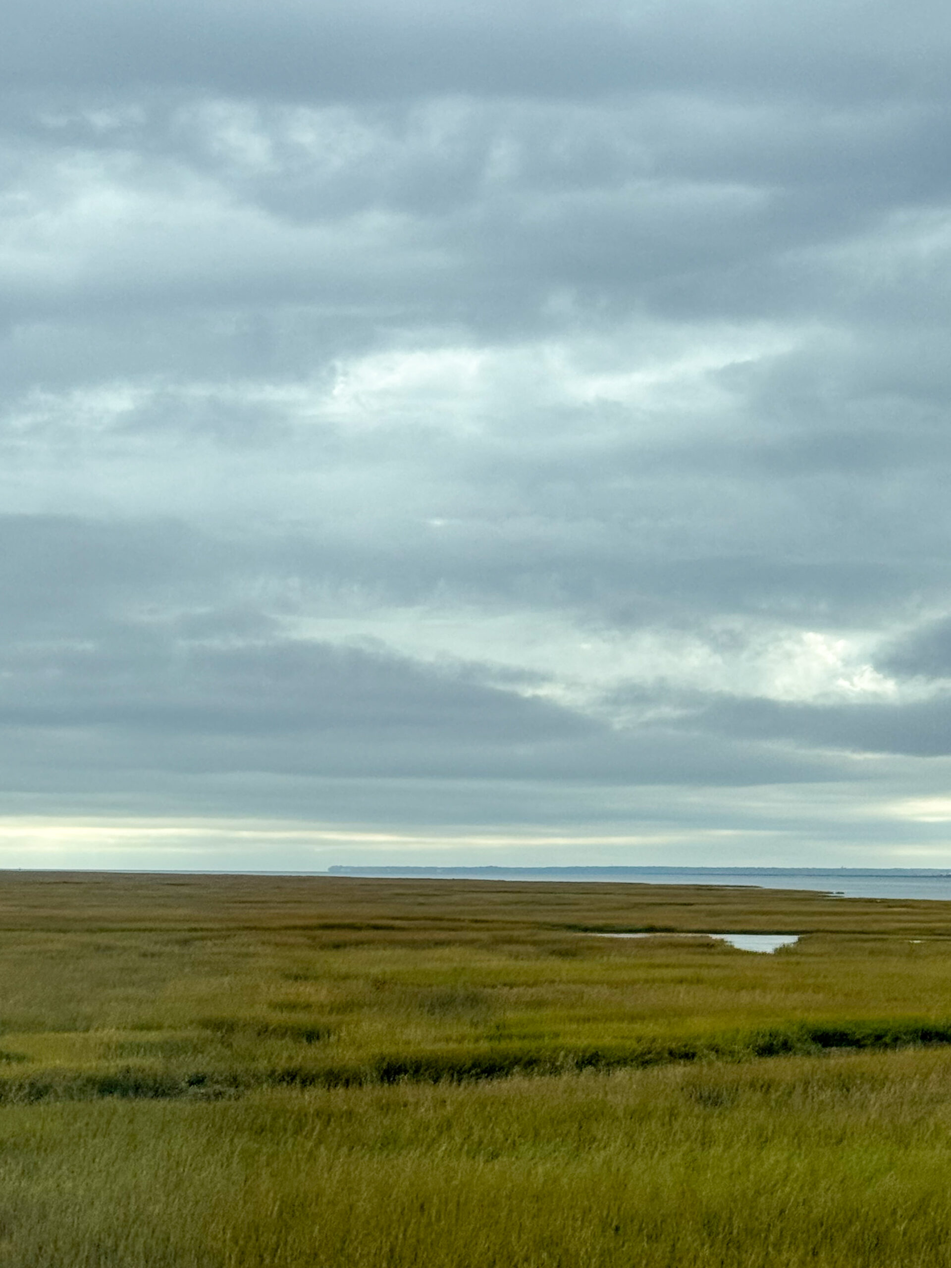 expansive-coastal-marsh-under-dramatic-overcast-sky-artist-reference-photo