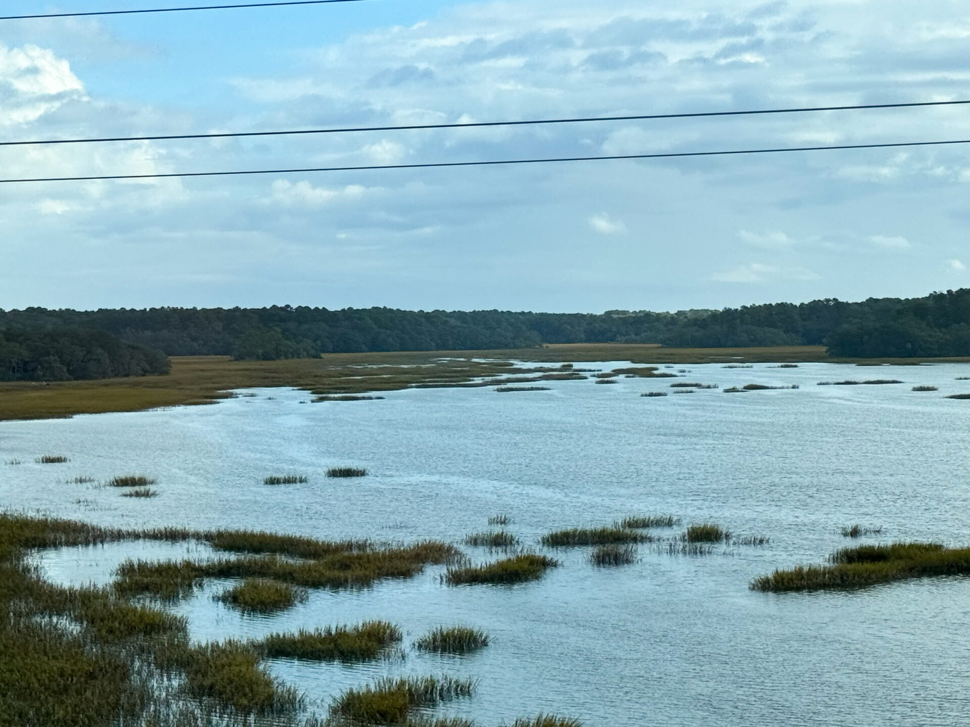 grassy-marsh-waterway-with-tree-line-horizon-under-soft-blue-sky-artist-reference-photo