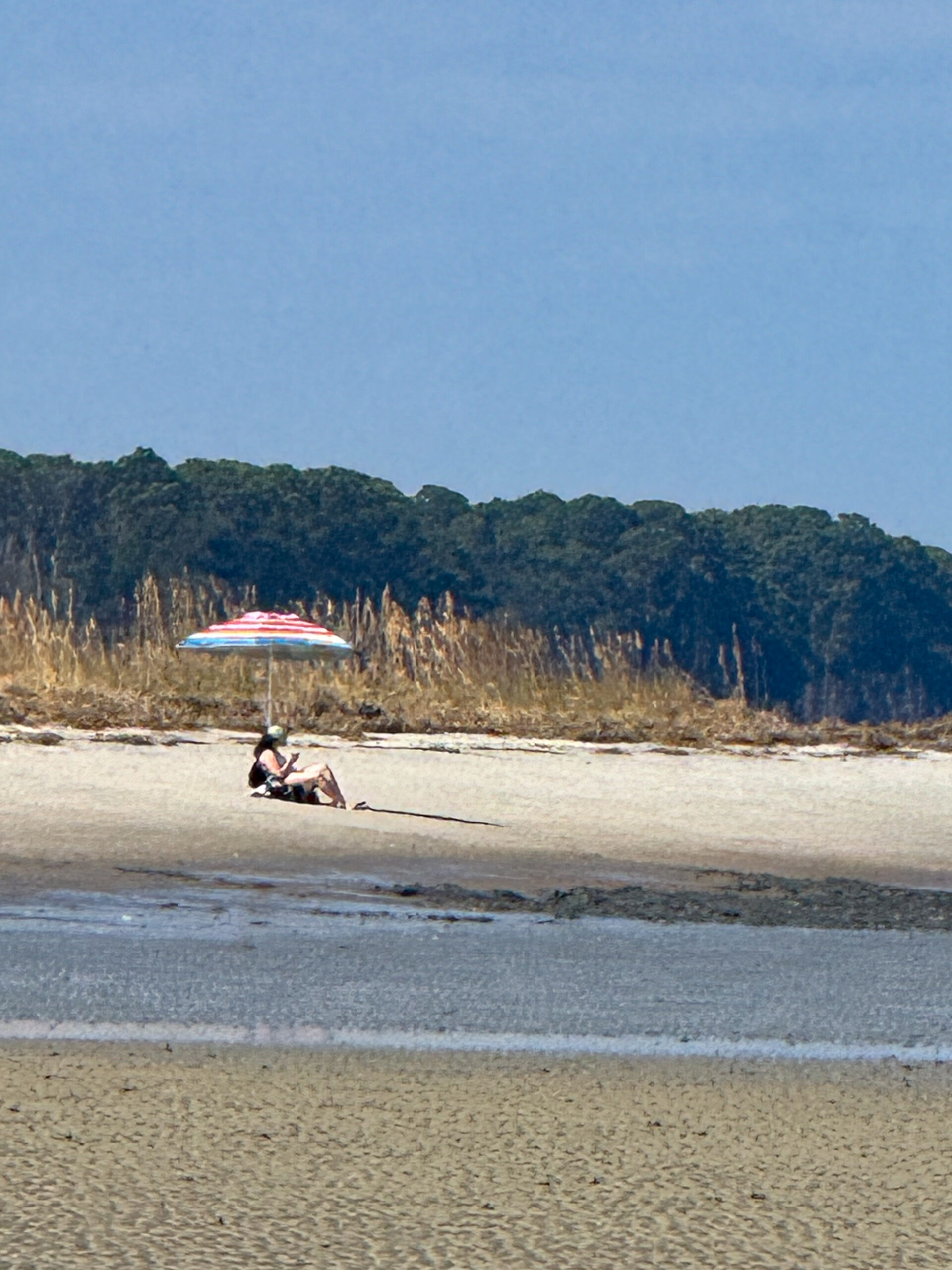 person-relaxing-under-beach-umbrella-with-dunes-and-forest-artist-reference-photo