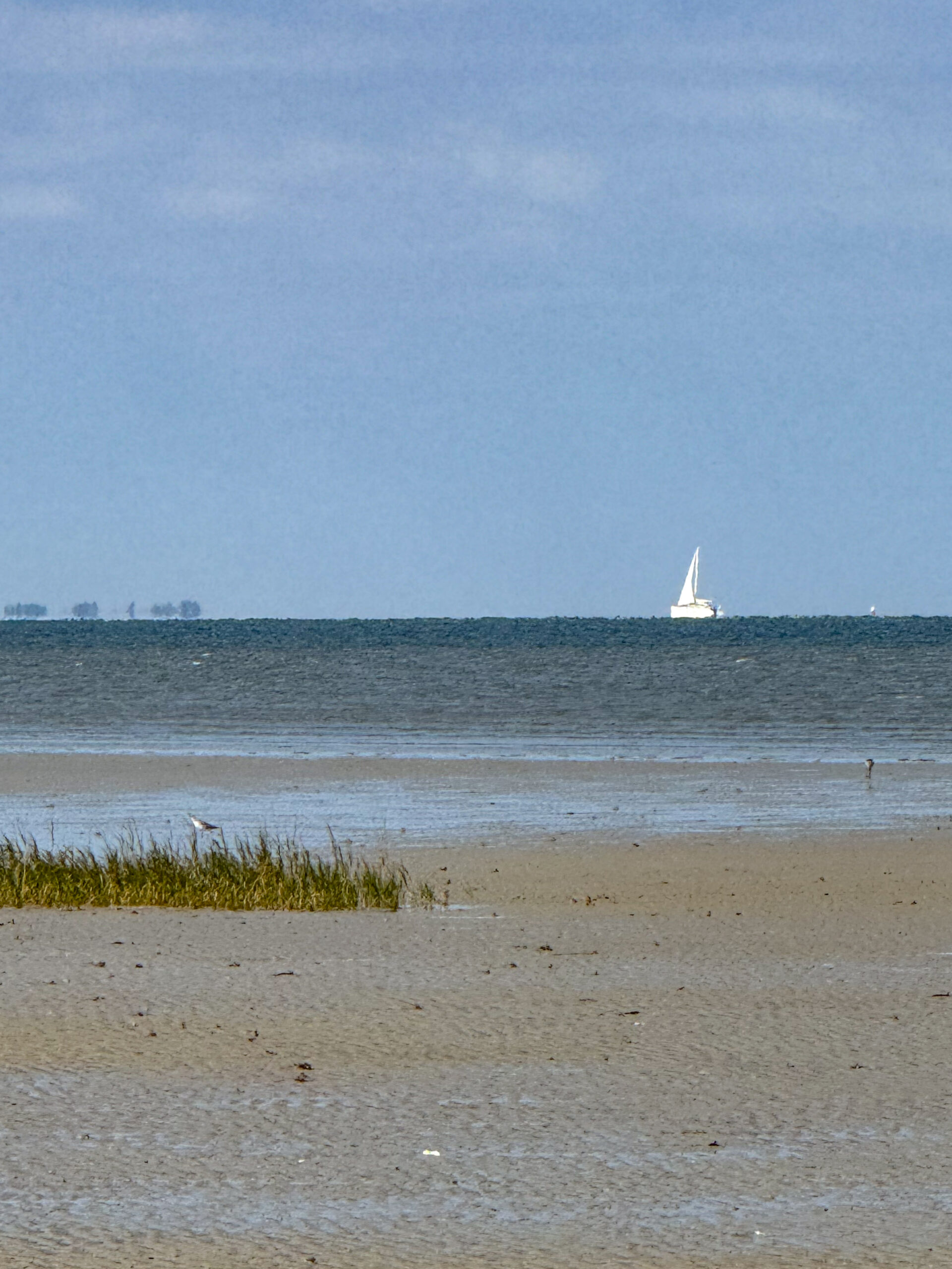 sailboat-on-horizon-with-rippled-sand-and-shore-grass-artist-reference-photo