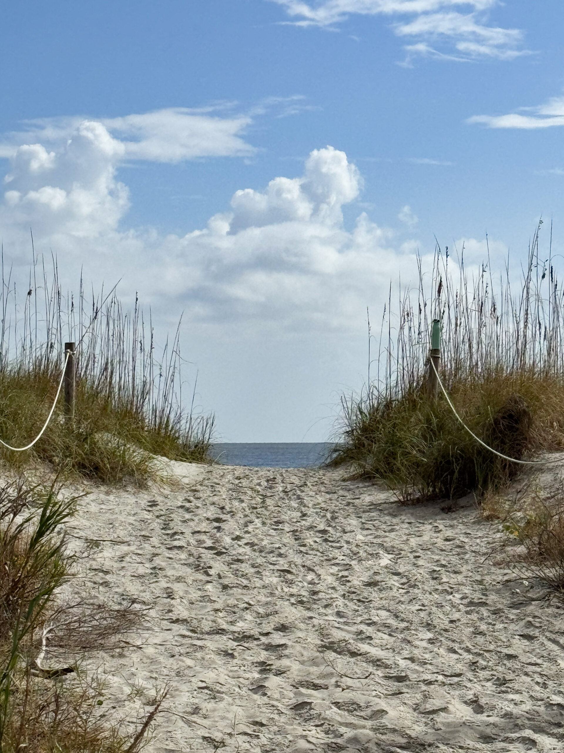 sandy-beach-pathway-with-dune-grass-leading-to-ocean-horizon-artist-reference-photo