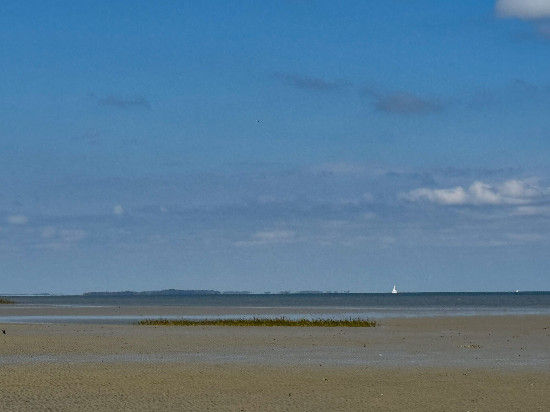 tranquil-beach-scene-with-distant-sailboat-and-sand-flats-artist-reference-photo