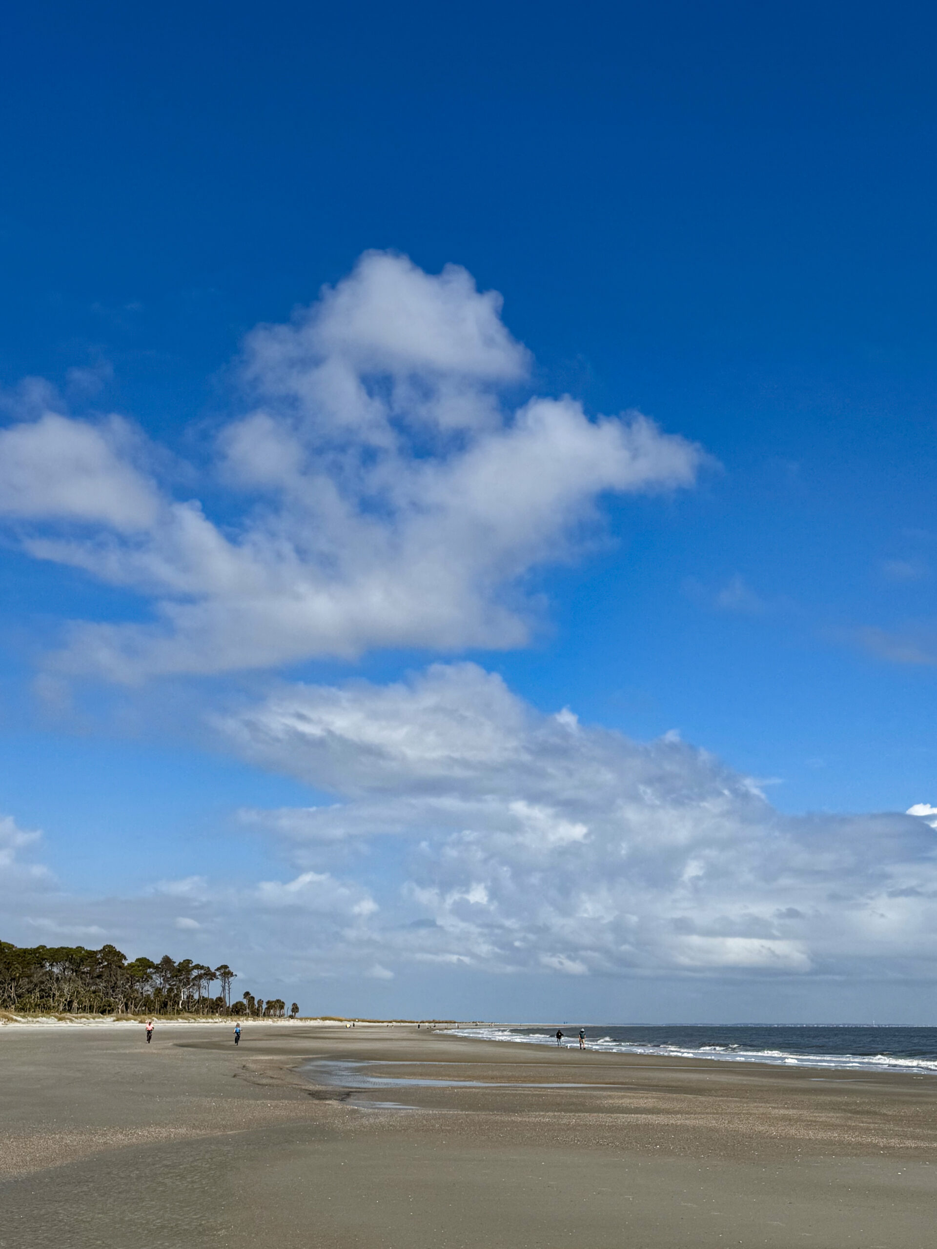 empty-beach-shoreline-with-blue-sky-and-gentle-waves-artist-reference-photo