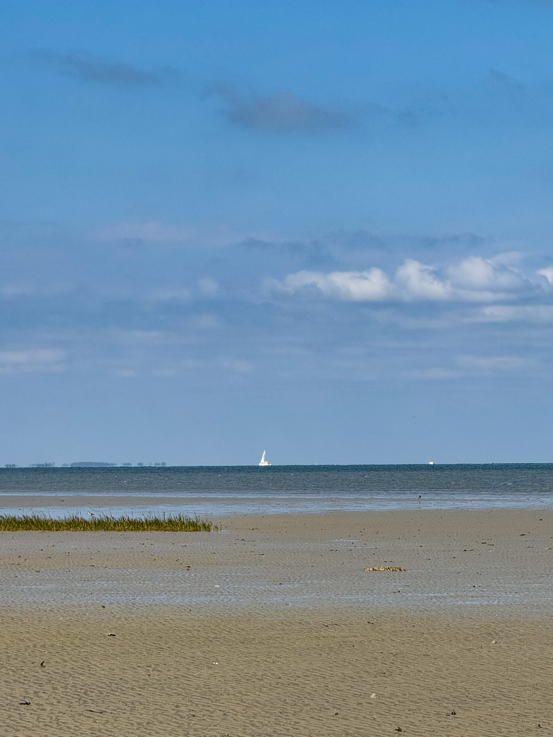 wide-sandy-shoreline-with-sailboat-on-the-horizon-artist-reference-photo