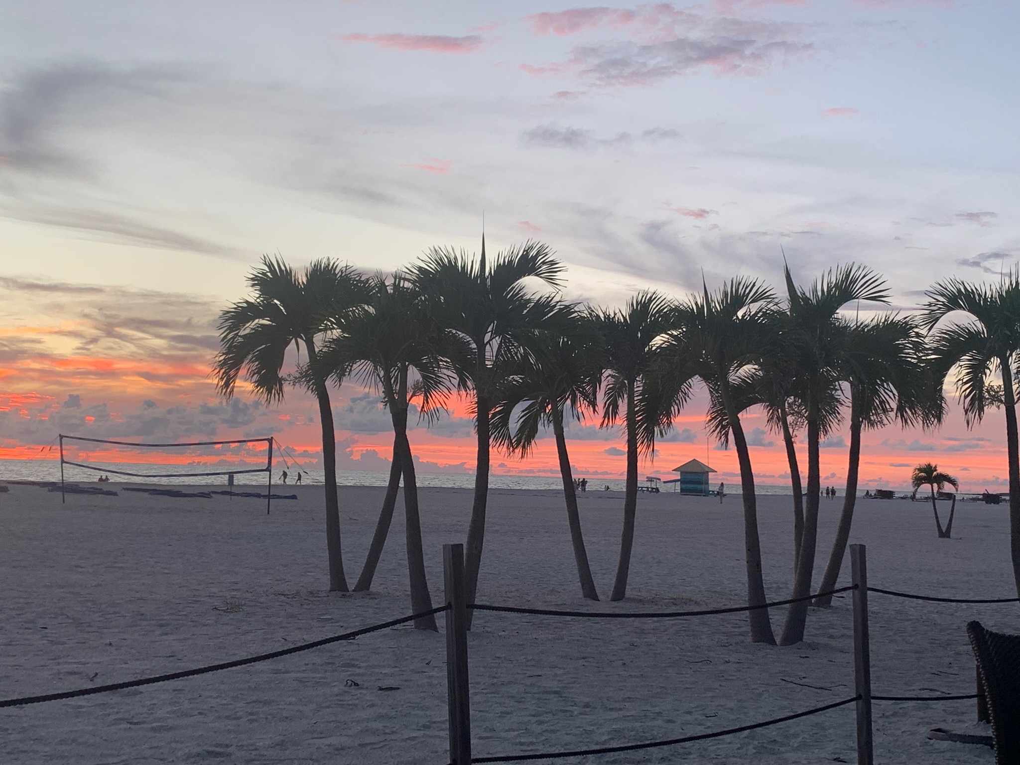 Tropical Beach Sunset with Palm Trees and Vibrant Sky Artist Reference Photo artist reference photo