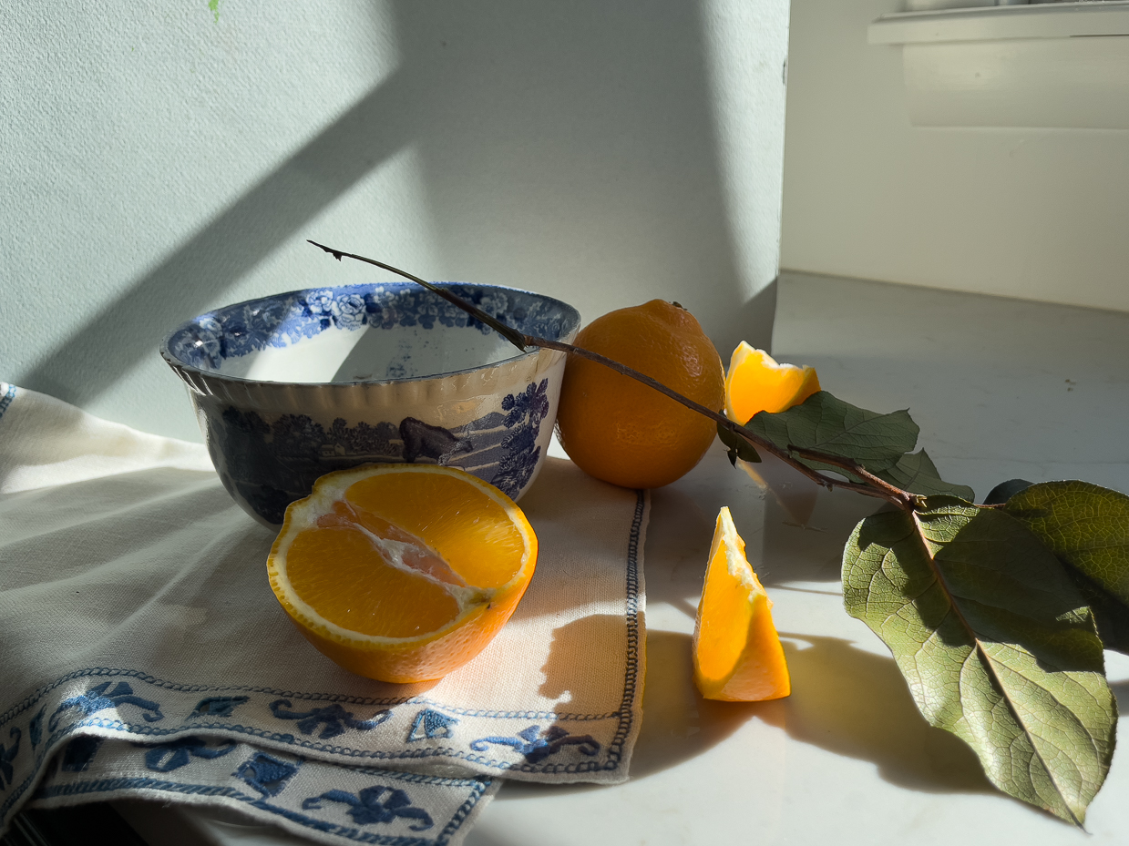 vintage blue bowl fresh oranges still life citrus photography natural light aesthetic artist reference photo