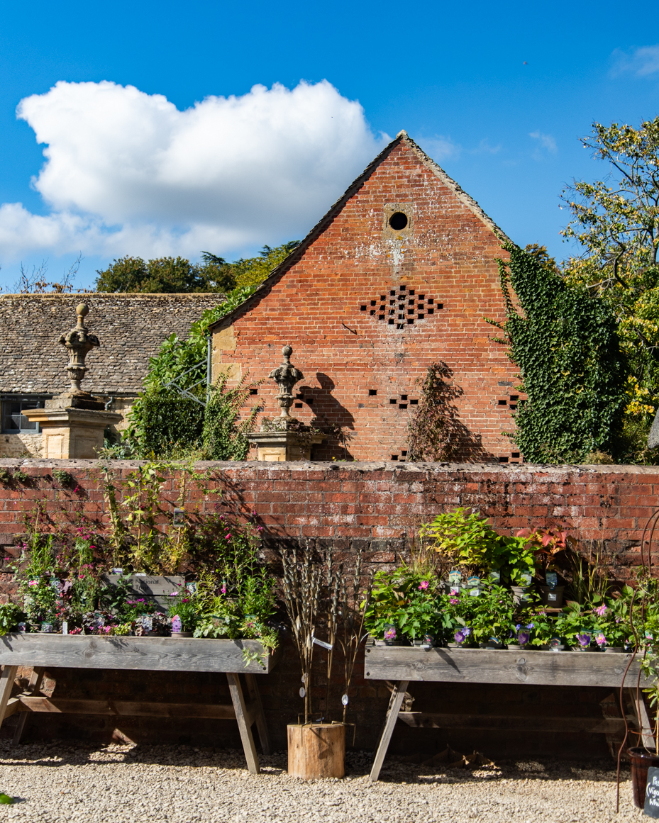 Brick garden wall with raised planters and historic buildings artist reference photo artist reference photo