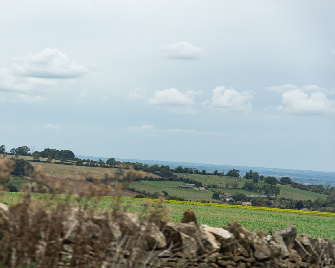 Countryside landscape with stone wall foreground and rolling hills artist reference photo artist reference photo