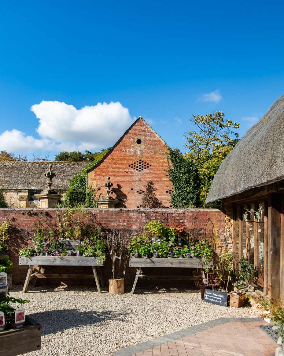English garden courtyard with brick wall planters and blue sky artist reference photo artist reference photo